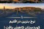 نرخ بنزین در اقلیم کوردستان کاهش یافت