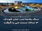 سگ بلاصاحب جان کودک ۳ ساله سنندجی را گرفت