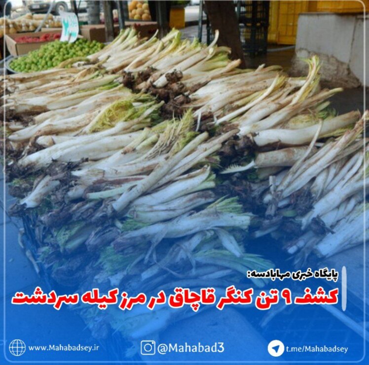 کشف ۹ تن کنگر قاچاق در مرز کیله سردشت