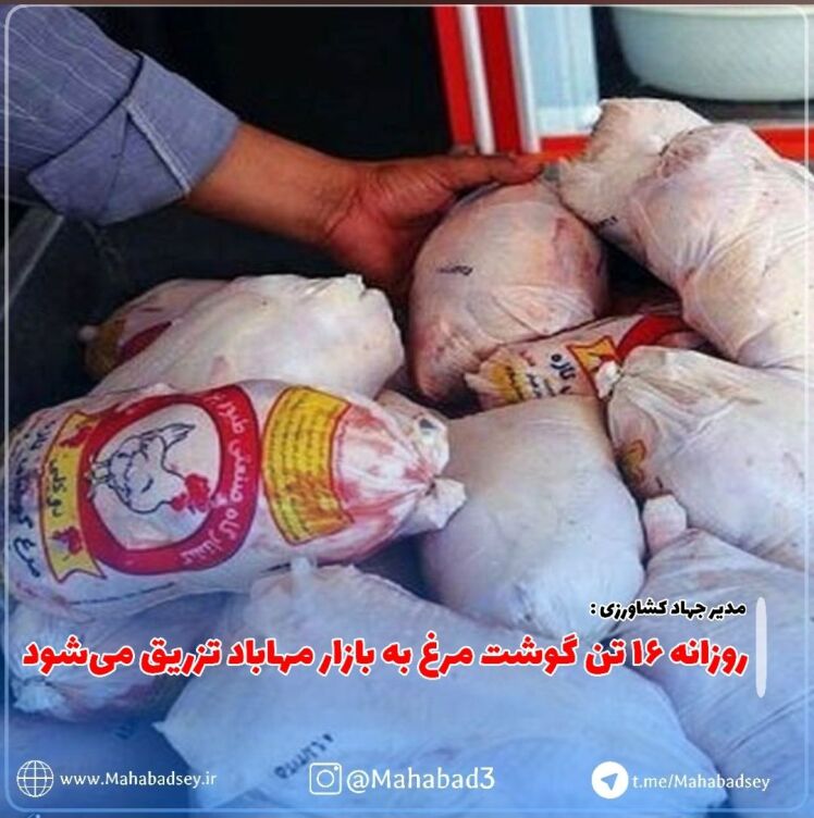 روزانه ۱۶ تن گوشت مرغ به بازار مهاباد تزریق می‌شود